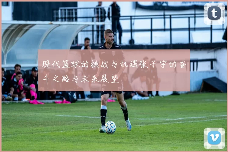 现代篮球的挑战与机遇张子宇的奋斗之路与未来展望